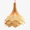 Light Lamp Chandelier Wood